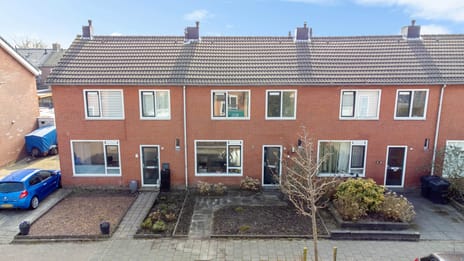 undefined main image