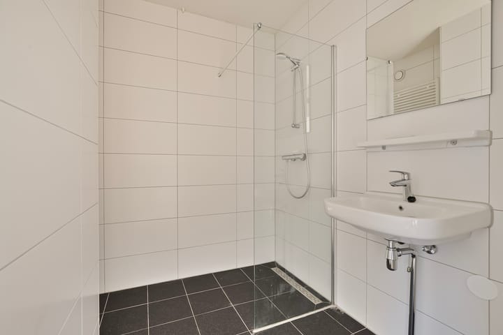 Foto 17 van Westervenne 335