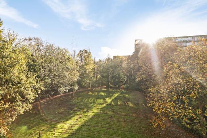 Foto 25 van Westervenne 335