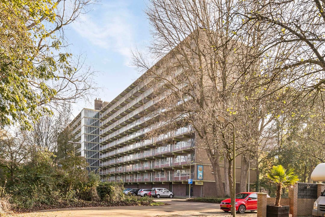 Foto 1 van Westervenne 335