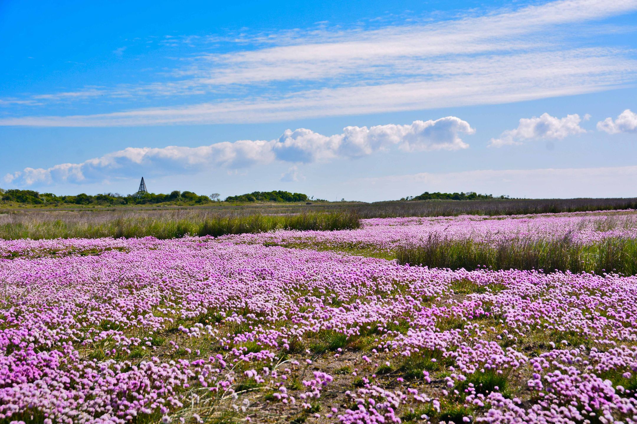 Foto 24 van Badweg 91-R12