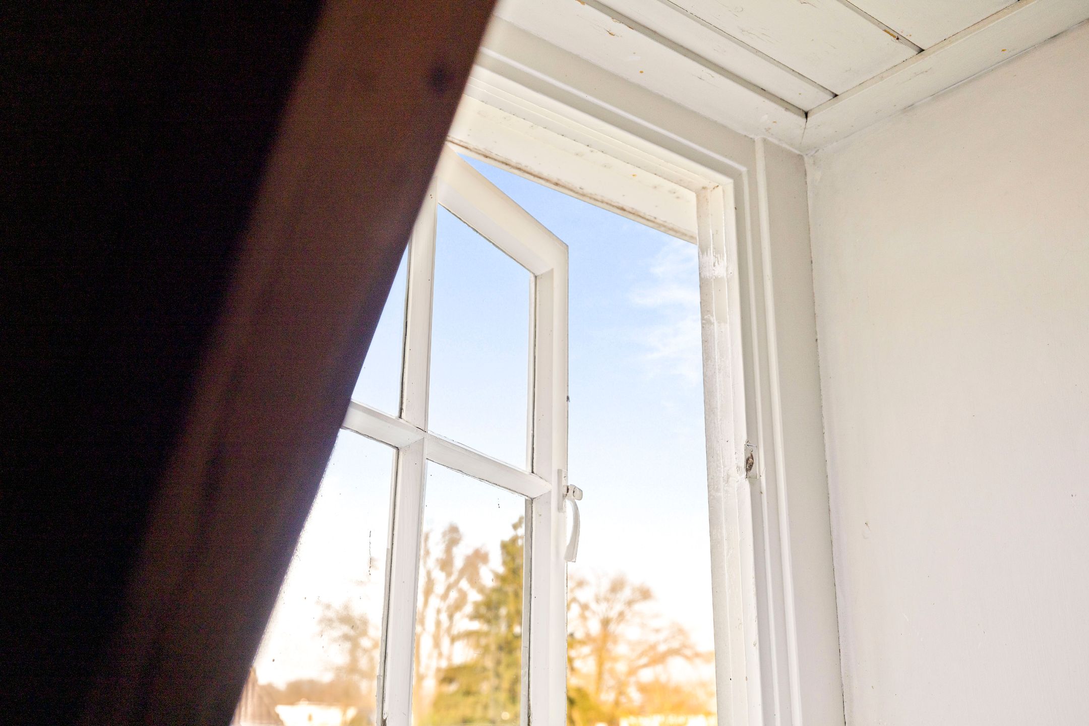 Foto 42 van Burgemeester van der Feltzweg 5