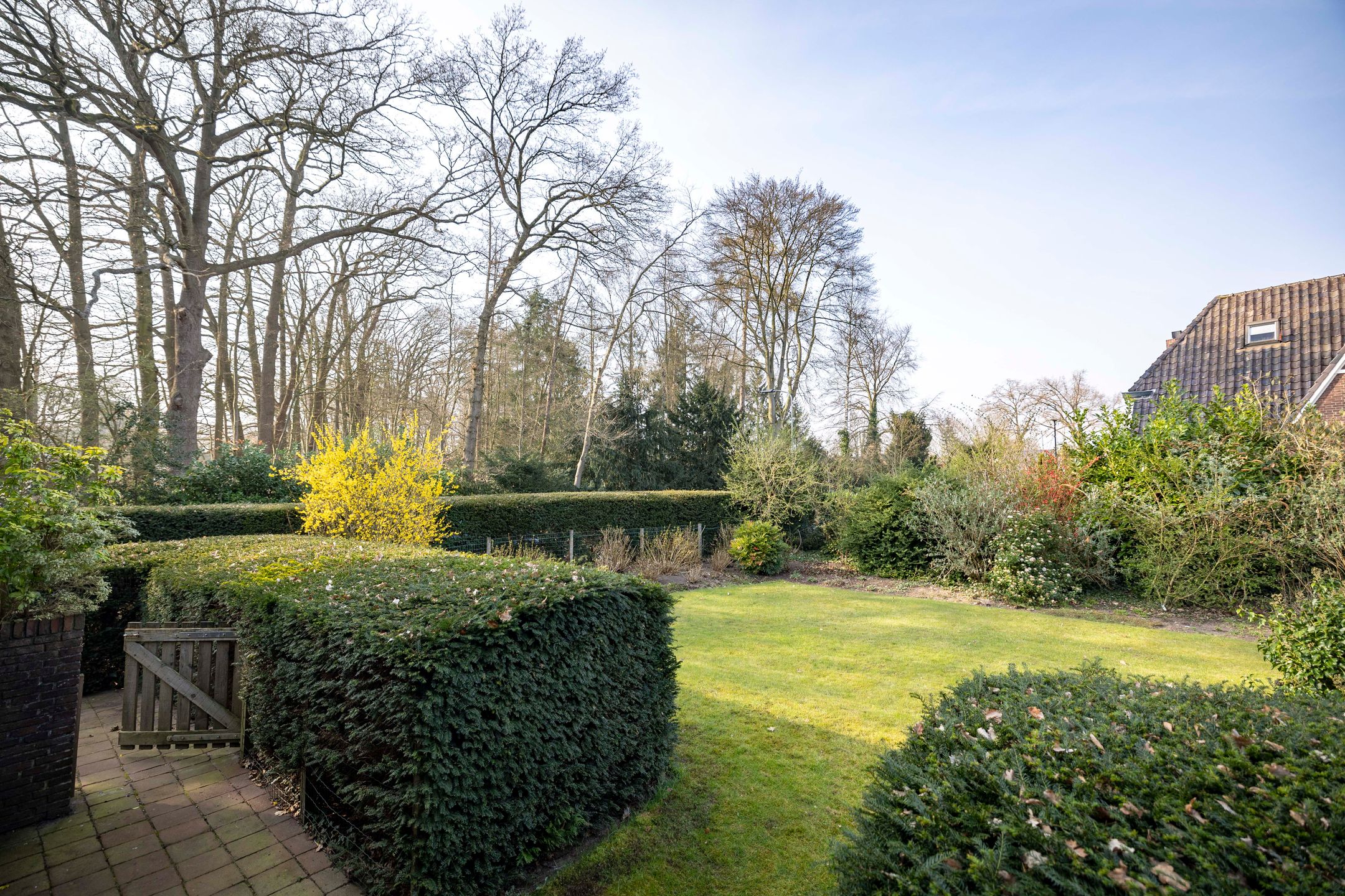 Foto 54 van Burgemeester van der Feltzweg 5