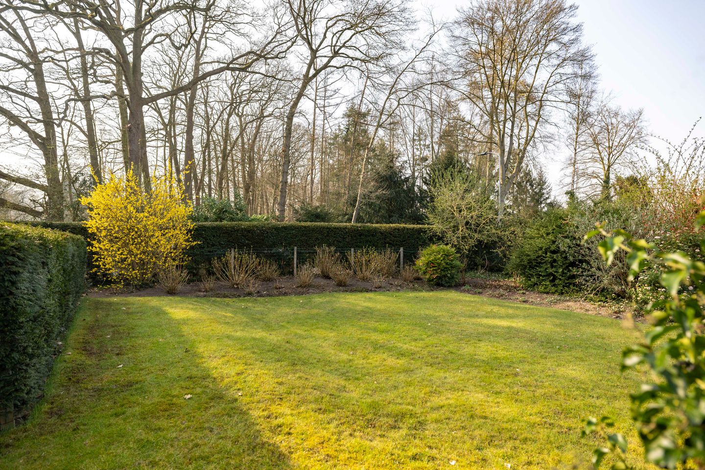 Foto 55 van Burgemeester van der Feltzweg 5