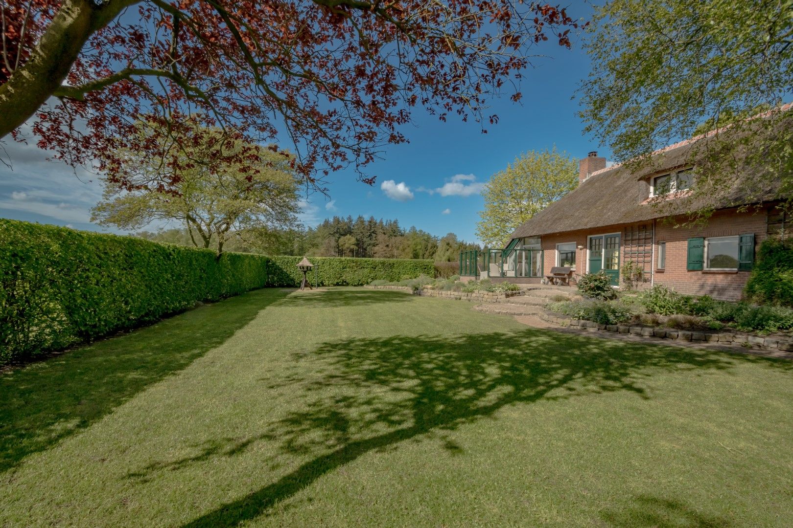 Foto 12 van Koningin Wilhelminalaan 6