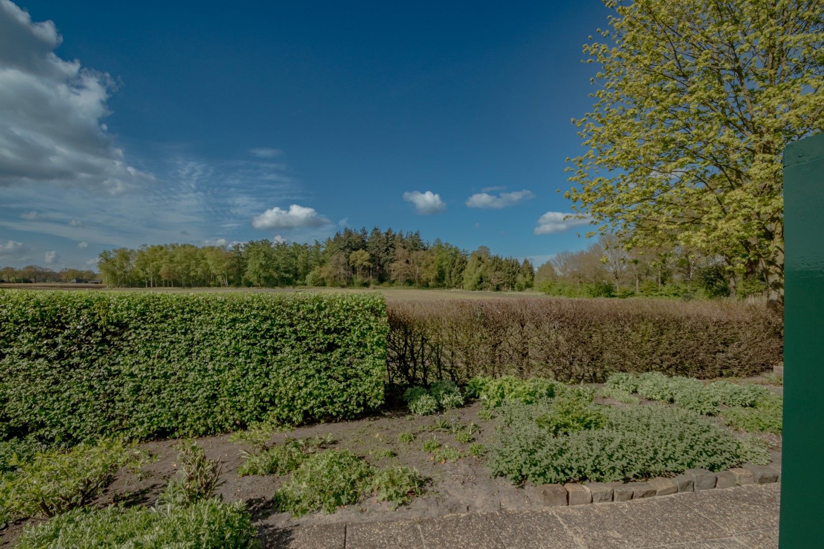 Foto 18 van Koningin Wilhelminalaan 6