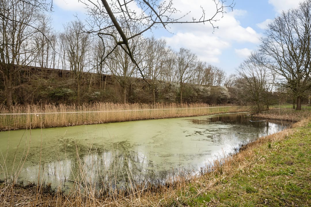 Photo 26 of Ruusbroecstraat 179