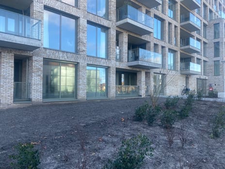 undefined main image