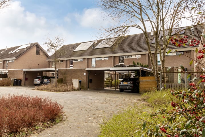 Foto 8 van Karveel 34 83