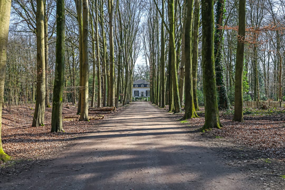 Foto 2 van Loilseweg 1