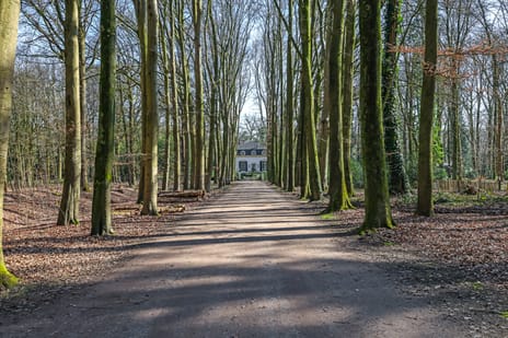 Loilseweg 1 secondary image