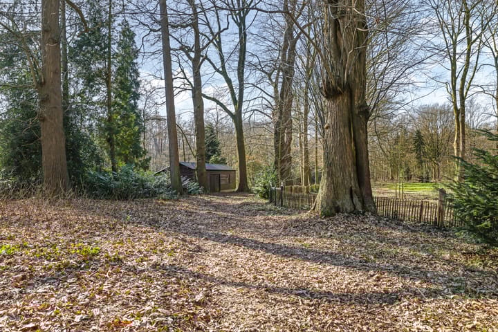 Foto 57 van Loilseweg 1