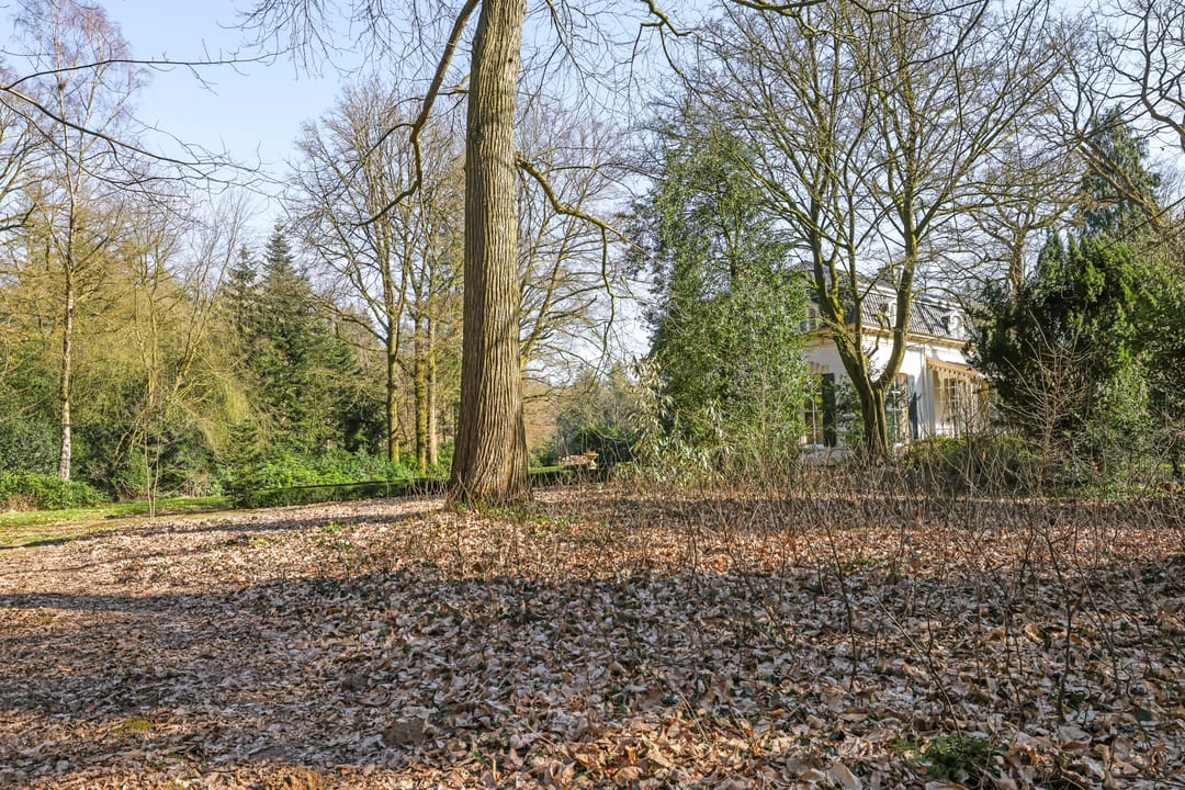 Foto 62 van Loilseweg 1