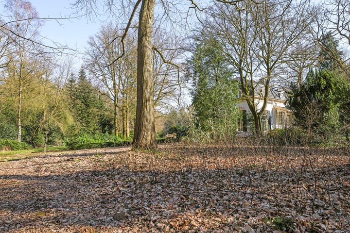 Foto 62 van Loilseweg 1