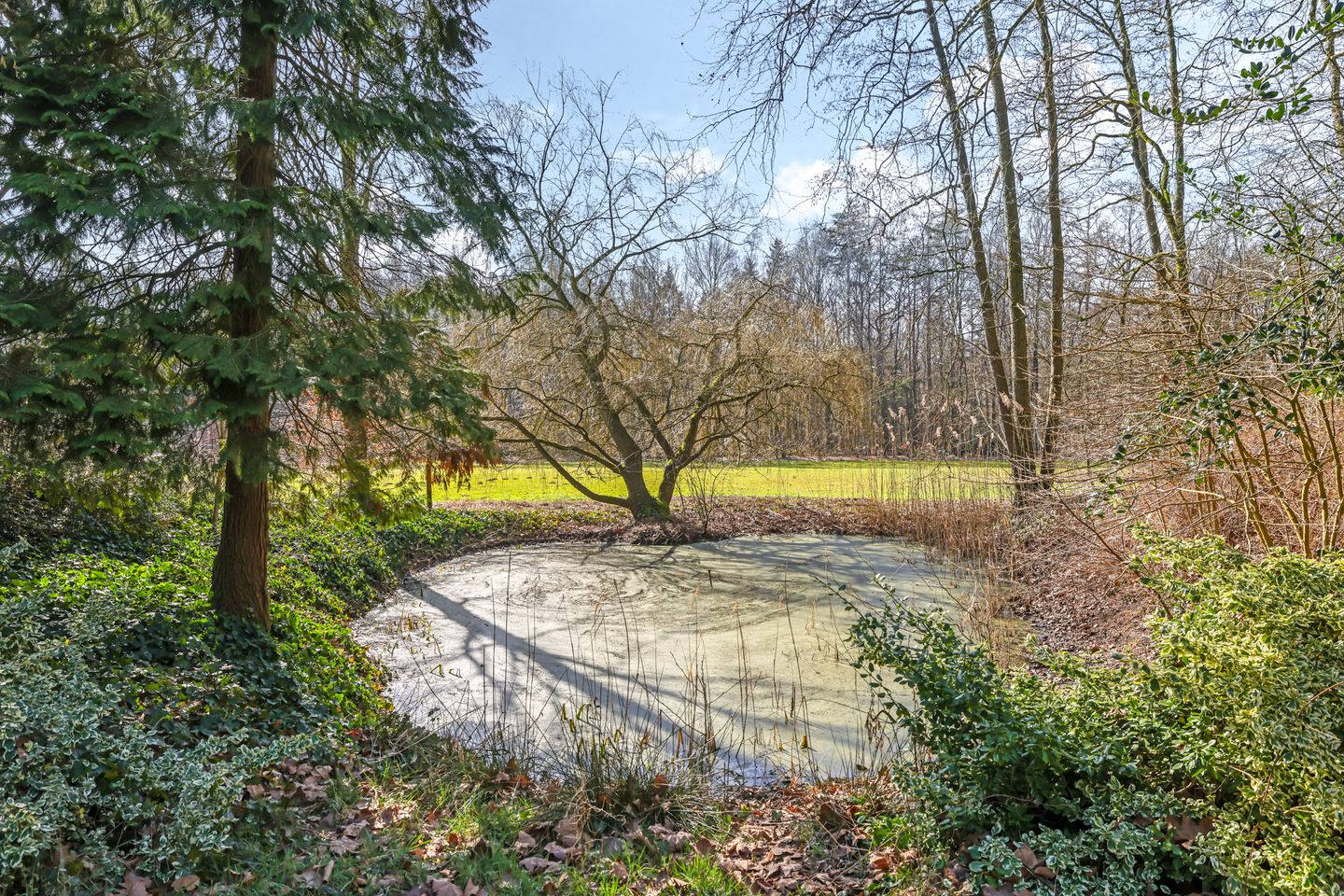 Foto 64 van Loilseweg 1