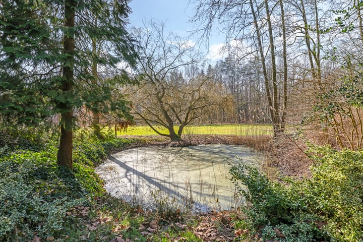 Foto 64 van Loilseweg 1