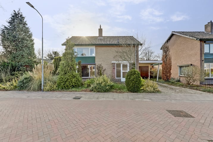 undefined main image