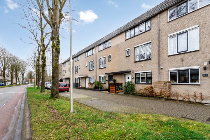 Foto 33 van Zadelmaker 13