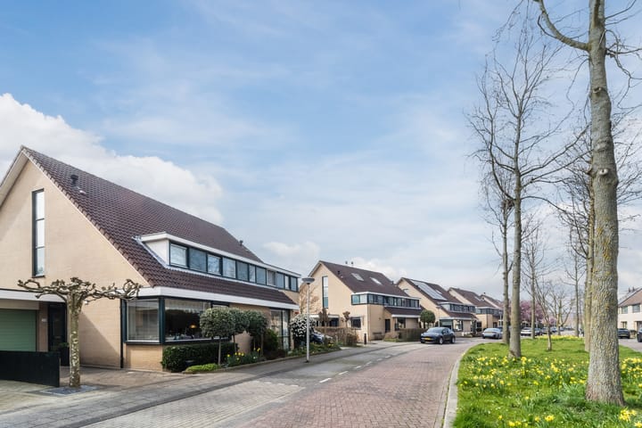 Photo 40 of Frans Halslaan 74