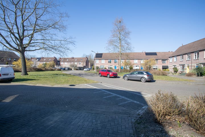 Foto 45 van De Wulp 41