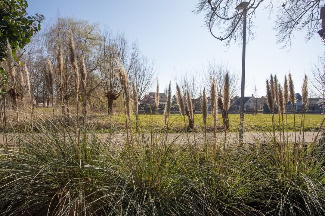 Foto 53 van De Wulp 41