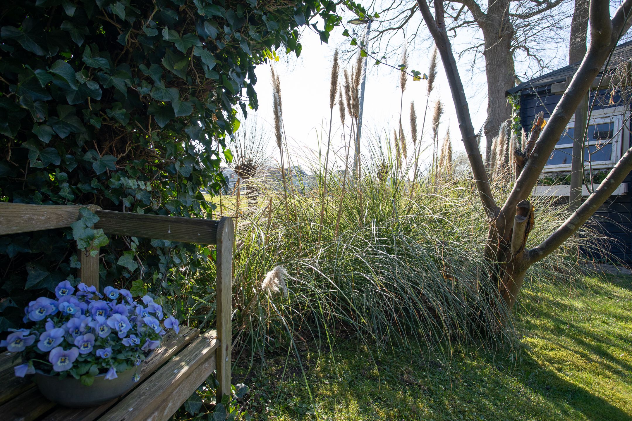 Foto 54 van De Wulp 41