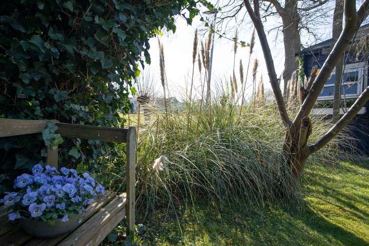 Foto 54 van De Wulp 41