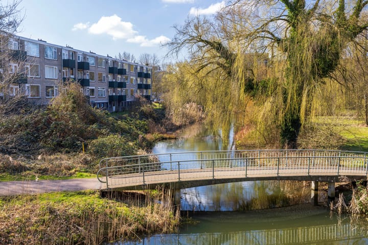 Foto 5 van Kamphuizenlaan 75-1