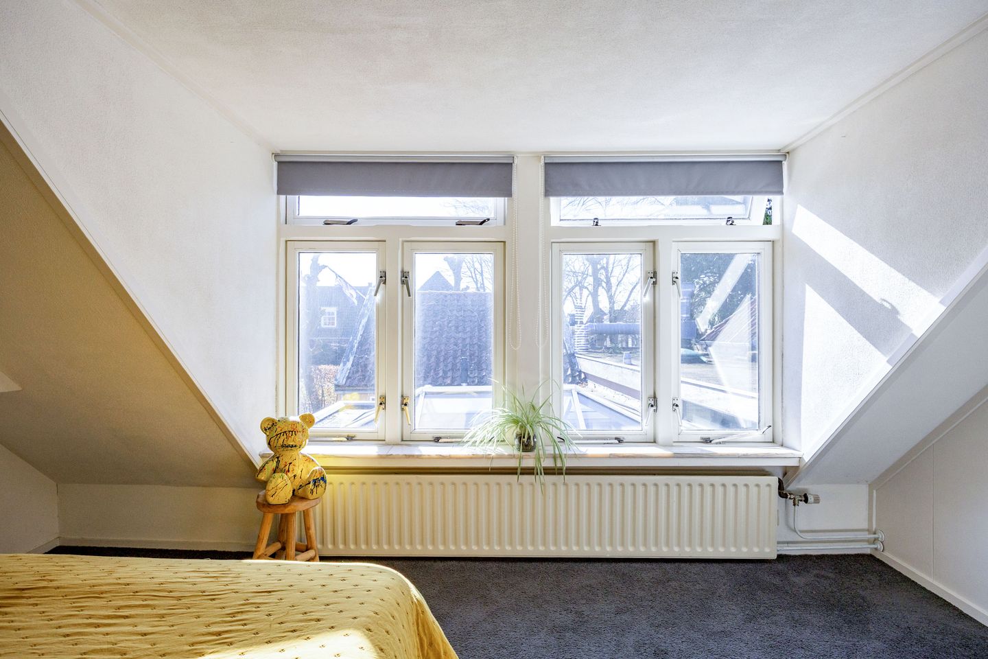 Foto 29 van Buorren 52