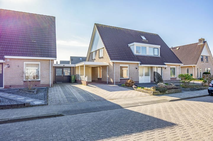 Foto 6 van Waterkers 6