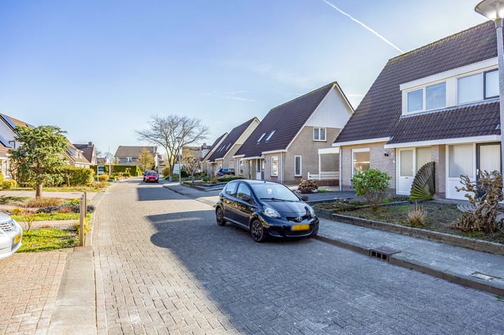 Foto 7 van Waterkers 6