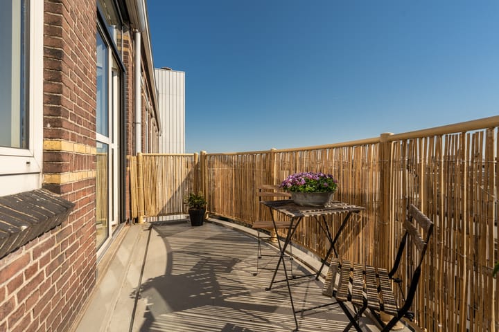 Foto 9 van Ruysdaelstraat 49-E4