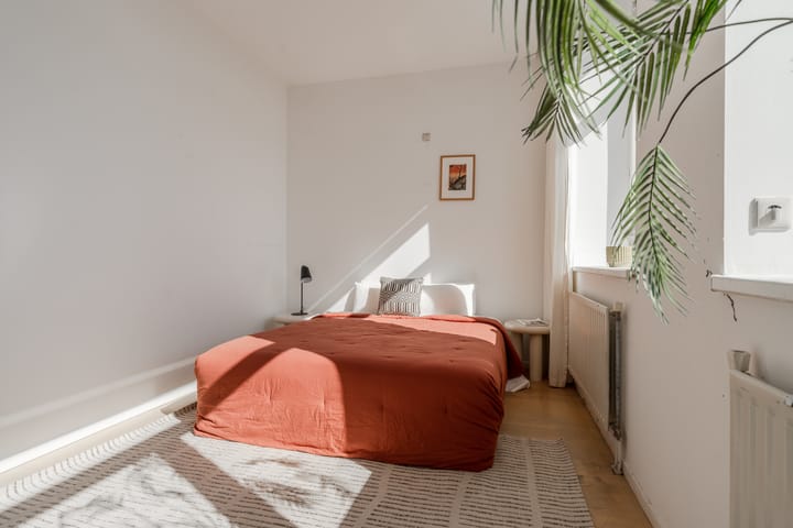 Foto 16 van Ruysdaelstraat 49-E4