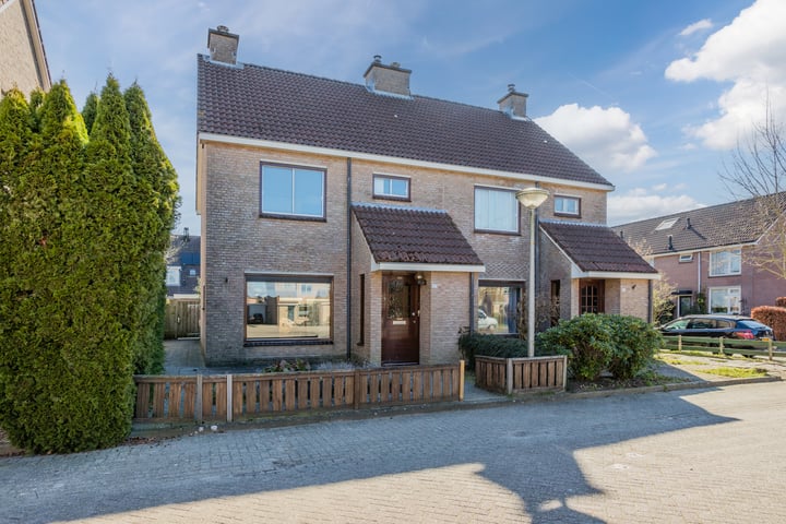 Bekijk foto van Groenling 27
