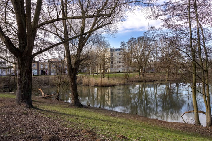 Foto 4 van Bolivardomein 23