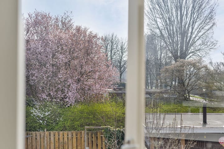 Foto 3 van Botter 36 39