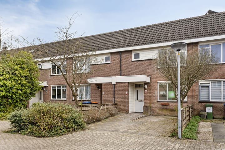 Foto 4 van Botter 36 39