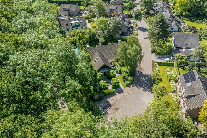 Foto 79 van Michaelsdreef 13