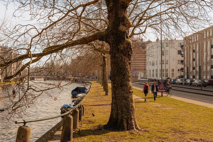 Foto 21 van Spinozastraat 37-A