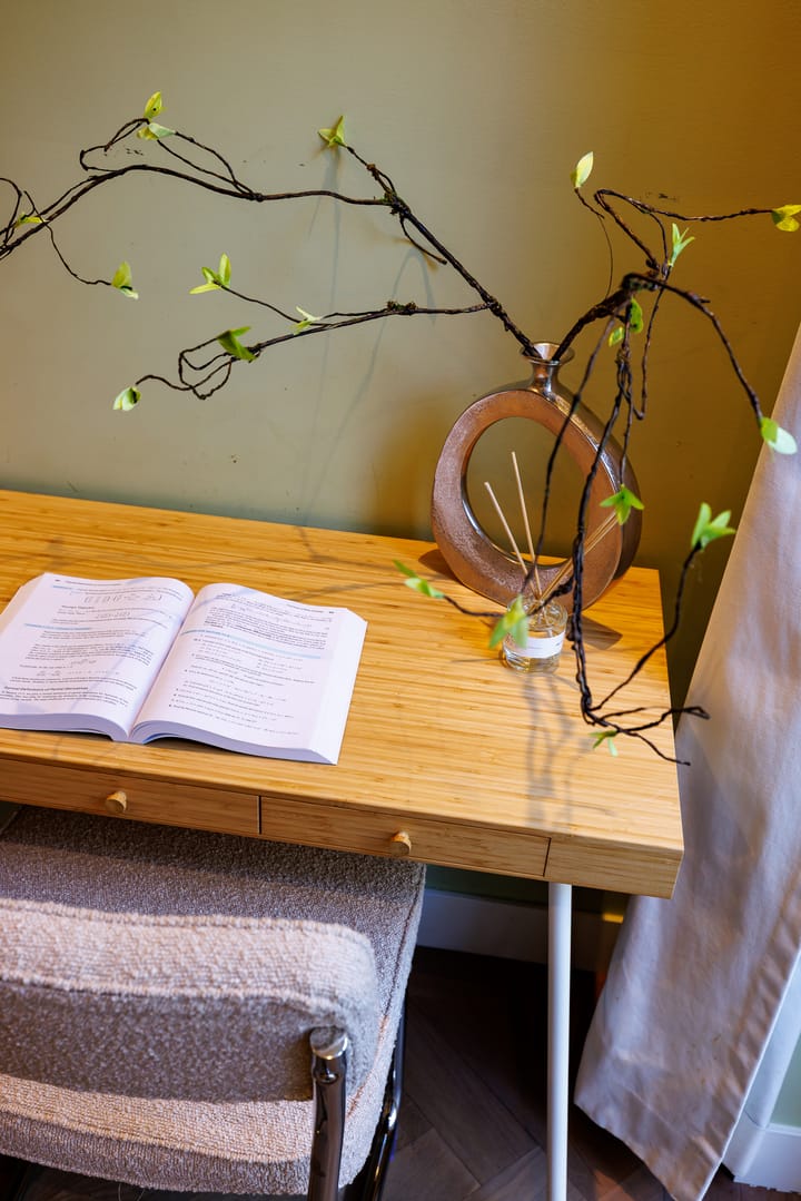 Foto 20 van Borgerstraat 220-H