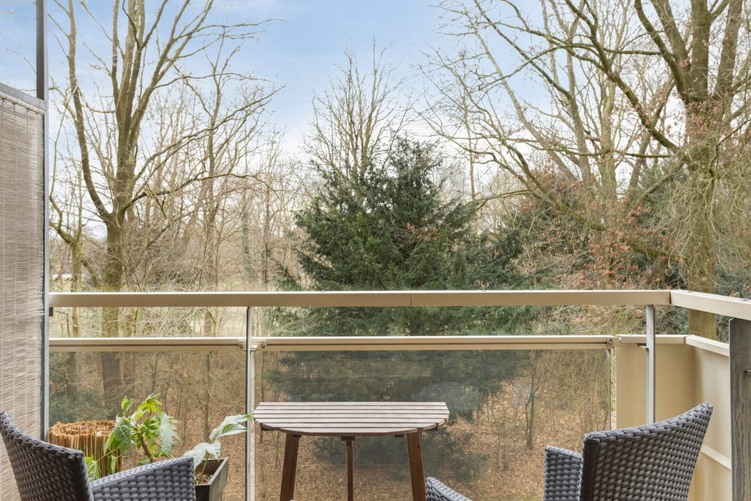 Foto 2 van Houthalenlaan 25