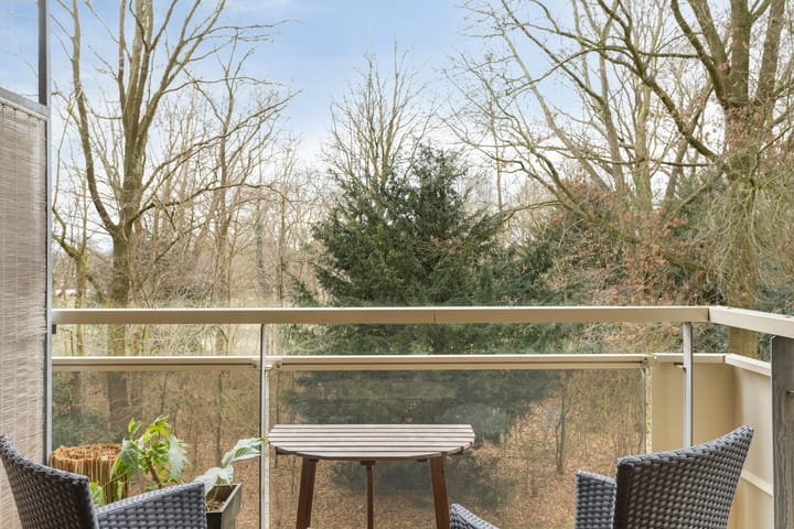 Foto 2 van Houthalenlaan 25