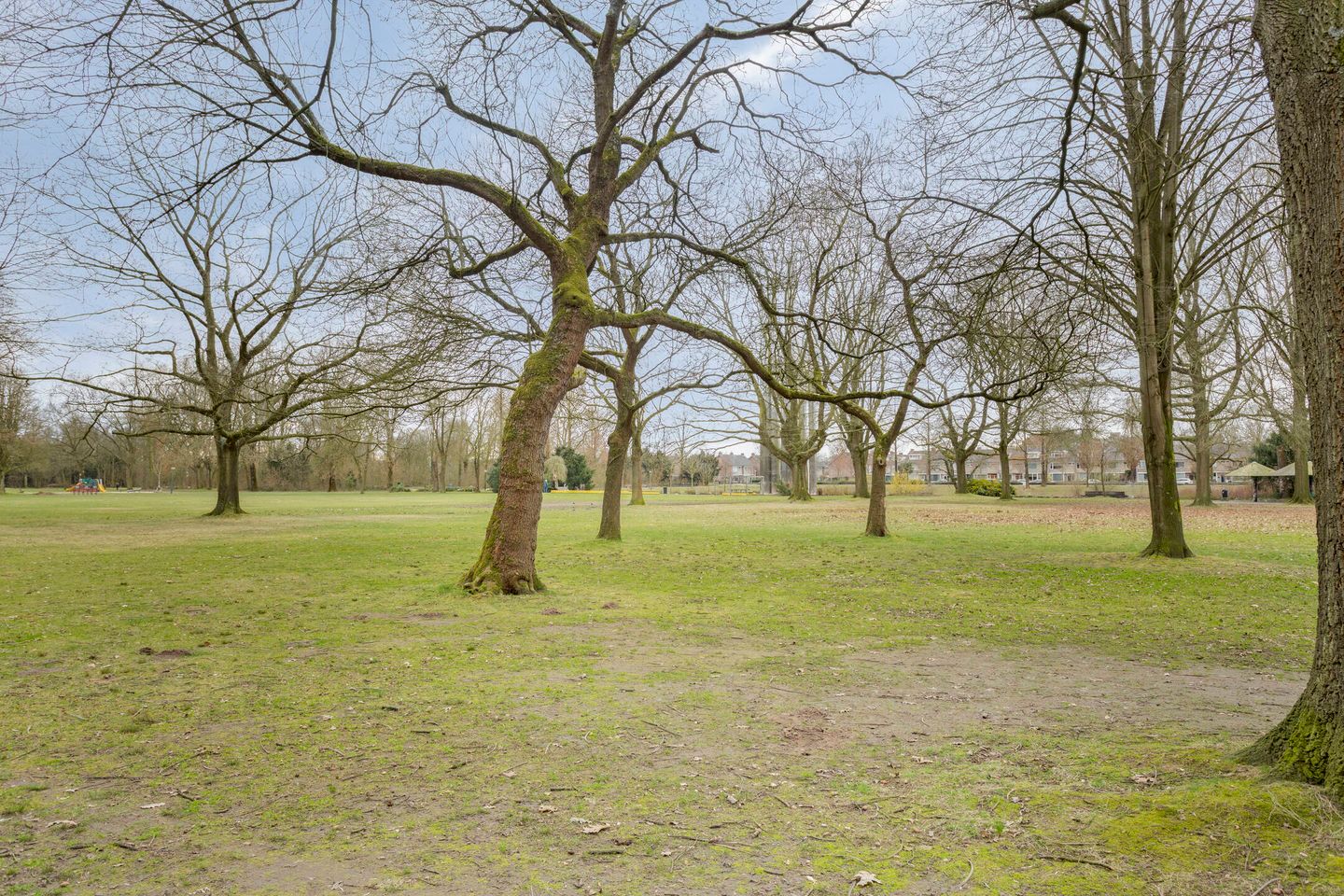 Foto 29 van Houthalenlaan 25