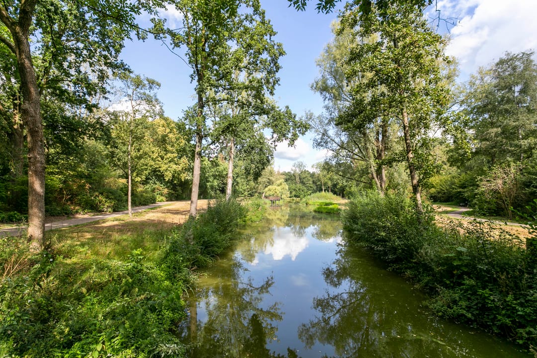 Foto 31 van Houthalenlaan 25