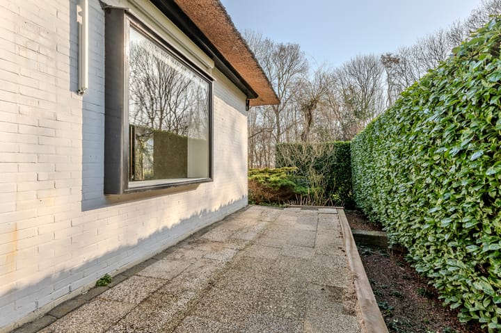 Foto 49 van Dokter Mees ten Oeverlaan 24