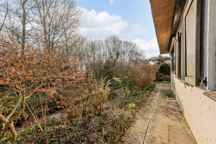 Foto 50 van Dokter Mees ten Oeverlaan 24