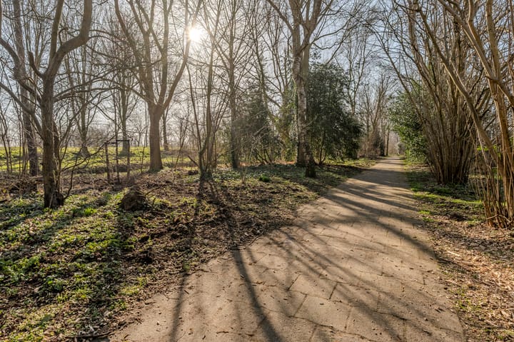 Foto 53 van Dokter Mees ten Oeverlaan 24