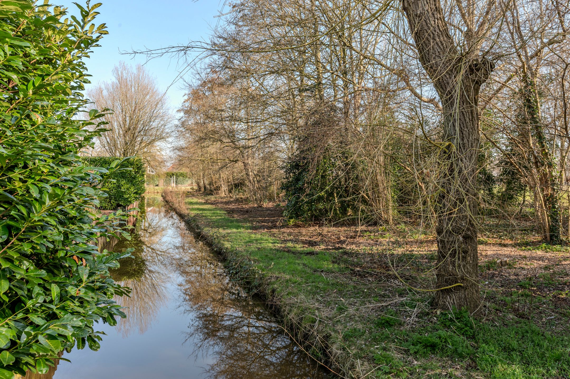 Foto 54 van Dokter Mees ten Oeverlaan 24
