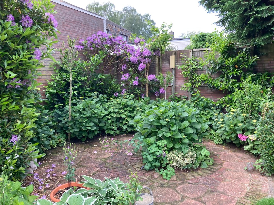 Foto 58 van Geldropseweg 134