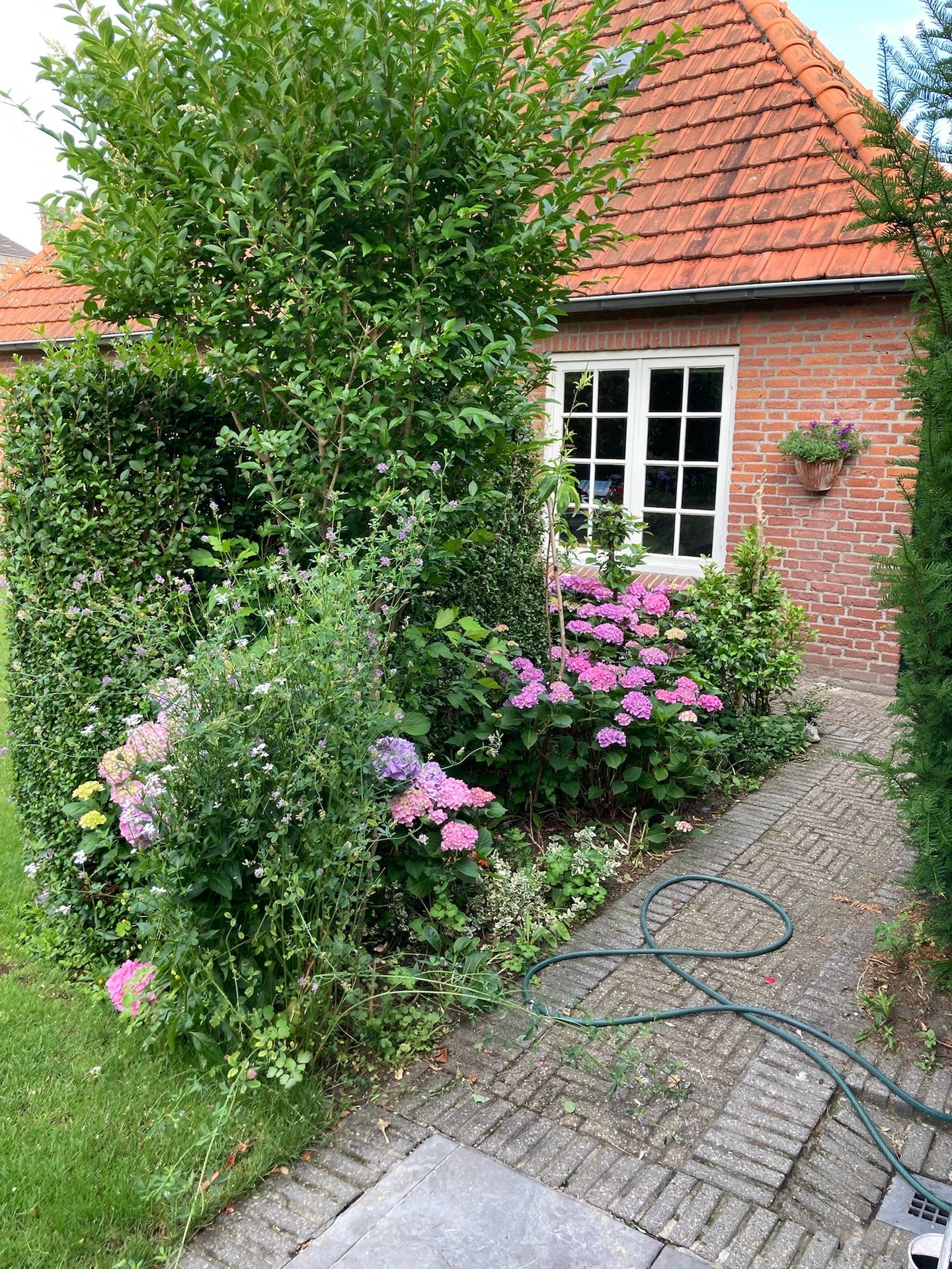 Foto 59 van Geldropseweg 134